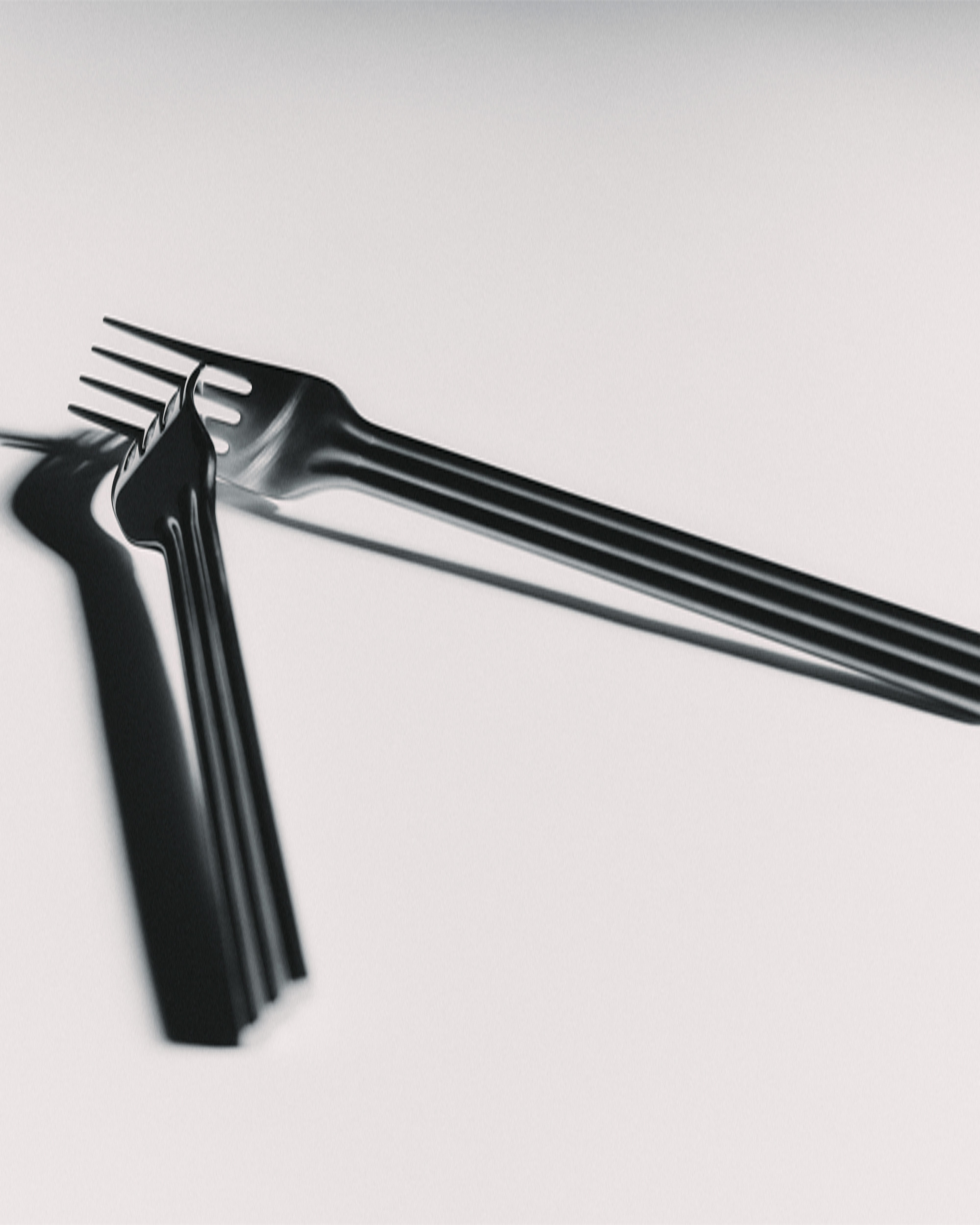Canteen Brushed - Fork / Set of 12
