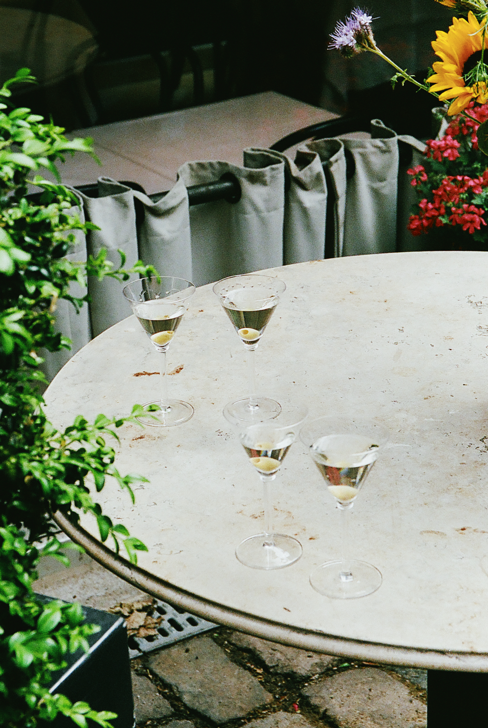 SP MARTINI BAR