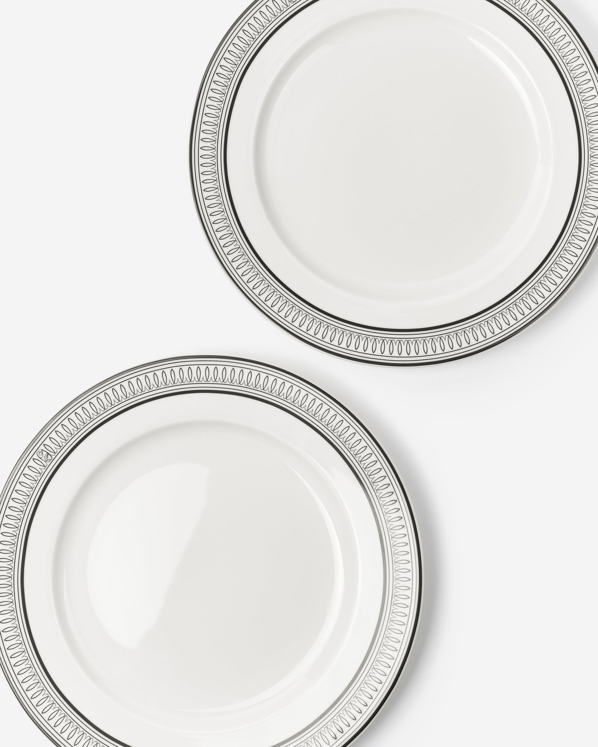 Samuel 270 Dinner Plate / Set of 12